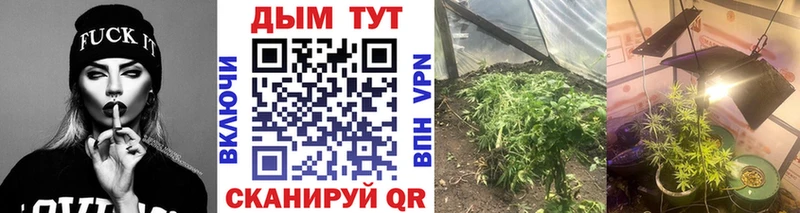 Виды наркотиков купить Княгинино COCAIN  МЕФ  ГАШИШ 