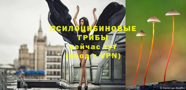 гидра Верхнеуральск