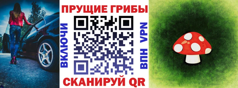 ОМГ ОМГ ТОР  Княгинино  Псилоцибиновые грибы GOLDEN TEACHER 